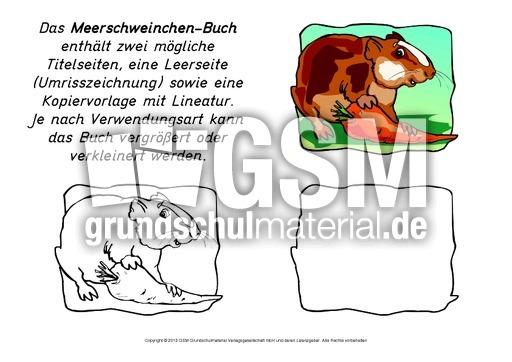 Mini-Buch-Meerschweinchen.pdf